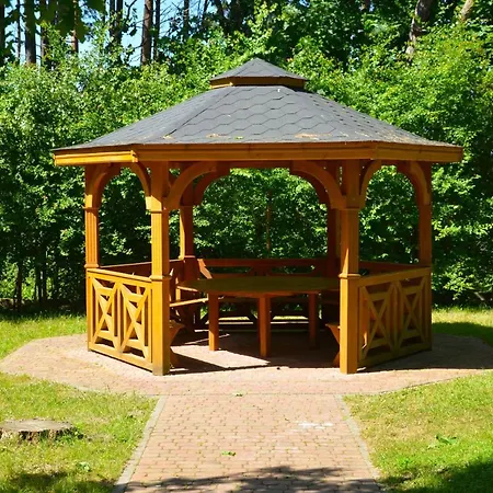 Pod Brzozami Dwie Sosny