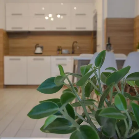 Pod Brzozami Dwie Sosny