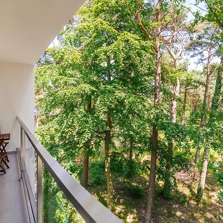 Pod Brzozami Dwie Sosny Apartmán *